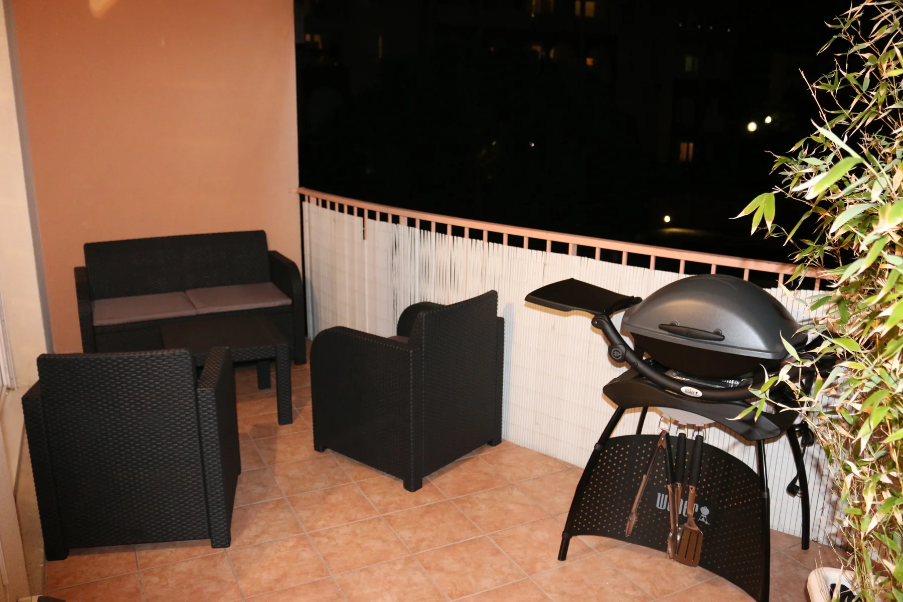 Terrasse et barbecue